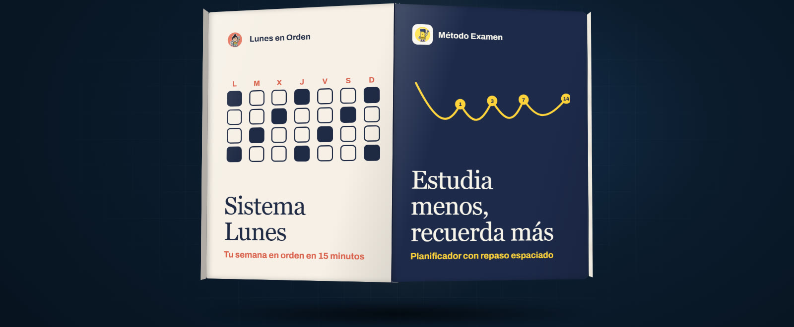 Pack Orden y estudio